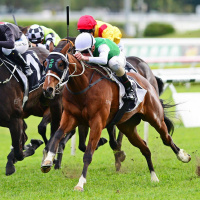 Tasmanian trainer Scott Brunton talks about his Golden Eagle chance The Inevitable