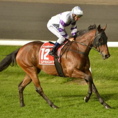 Winning Edge Investments