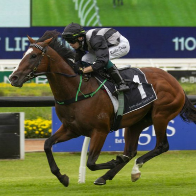 Winning Edge Investments