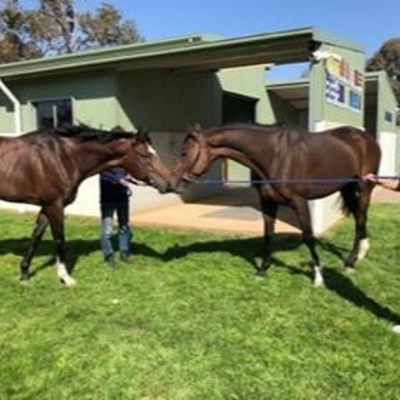 Winning Edge Investments