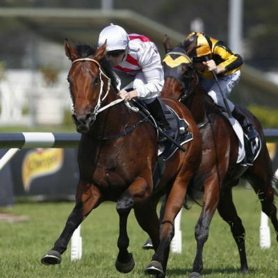 Winning Edge Investments