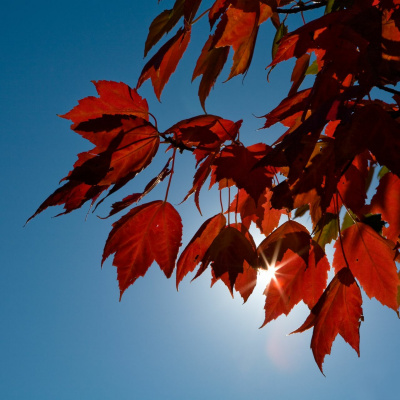 Genesis The Church Podcast