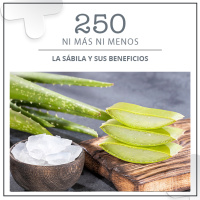 250: La sábila y sus beneficios
