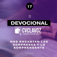 17: Nos encantan las sorpresas y lo sorprendente