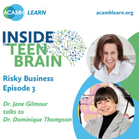 3: Inside the Teen Brain - Risky Business