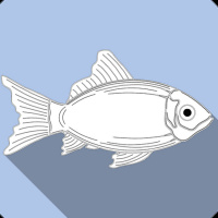 007 - Receta del pescado zarandeado