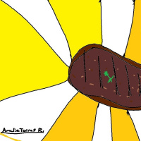 005 - Bendita carnita asada