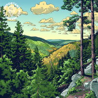 Essay: How to See The Forest