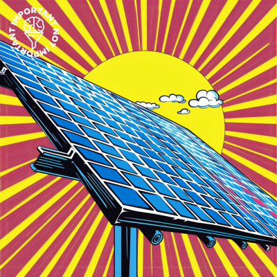 Important, Not Important