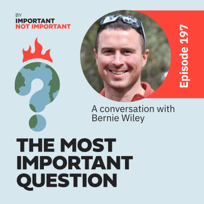 Important, Not Important