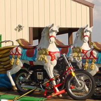 Viajo en Moto limpiando mierda de caballo - Episodio exclusivo para mecenas