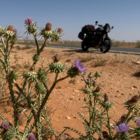 Vastas planicies de este. Marruecos 2025 - Episodio exclusivo para mecenas