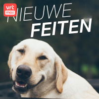 Honden hebben humor en doen aan practical jokes