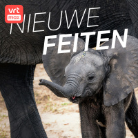 Olifanten begraven hun doden