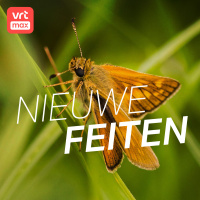 Zijn de vlinders terug?