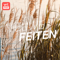 Wat kan je allemaal vinden in het riet?