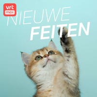 Katten hebben maar liefst 276 gezichtsuitdrukkingen