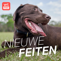 Barbara Sarafian gered door labrador Mike