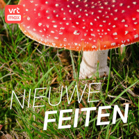 Doe de digitale paddenstoelenpluk