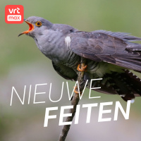 De koekoek is terug in het land