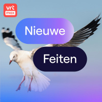 Hoe hou ik meeuwen weg van mijn strandsnack?