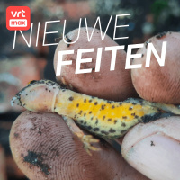 Salamanders in eigen tuin
