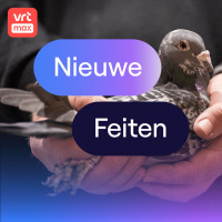 Duivensport in Vlaanderen aan revival begonnen