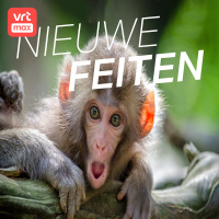 Waarom de mens zo anders is dan alle andere dieren