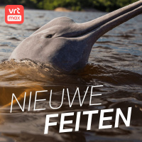 Sommige dolfijnen doen aan luchtplassen