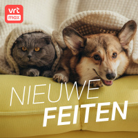 Wat is de geschiedenis van onze katten- en hondennamen?