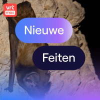 Rosse vleermuis eet al vliegend vogeltjes