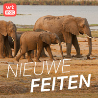 Olifanten geven mekaar namen