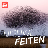 Waarom spreeuwen niet tegen elkaar botsen