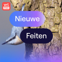 Joeri Buiten: op zoek naar de boomklever