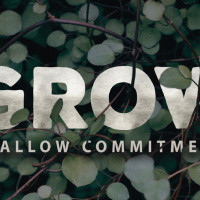 Grow | Shallow Commitment
