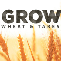 Grow | Wheat and Tares