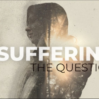 Suffering | The Question