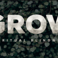 Grow | Spiritual Blindness