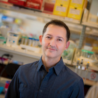 20 Questions for Gurol Suel: biofilm electrical communication