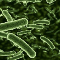 Towards a more nuanced view of the human microbiome: pathogens and evolution