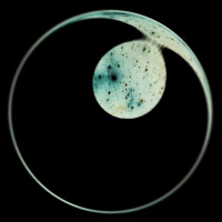 [Langelaan] Vuelta a Empezar (1957)