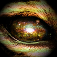 [LCI] #2 Cómo cocinar para cuarenta humanos ~ La Conversación Infinita, Mayo 2020