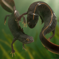 [Capek] La guerra de las Salamandras -1d7- (1936)