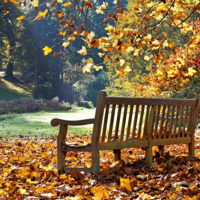 St Peters Orthodox Church