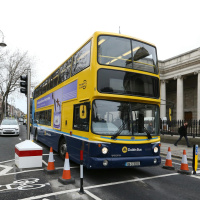 Should public transport be more pet friendly?