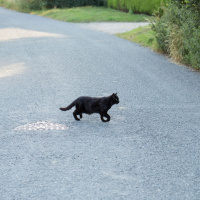 The science behind superstitions