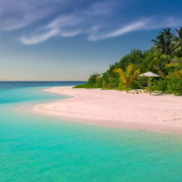 Do you use all of your holiday leave?