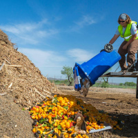 Why Do Irish Households Waste So Much Food?