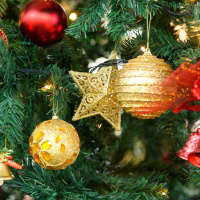 Buying Irish Decorations with Champion Green