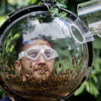 Calls for Im A Celeb to stop using live animals for entertainment